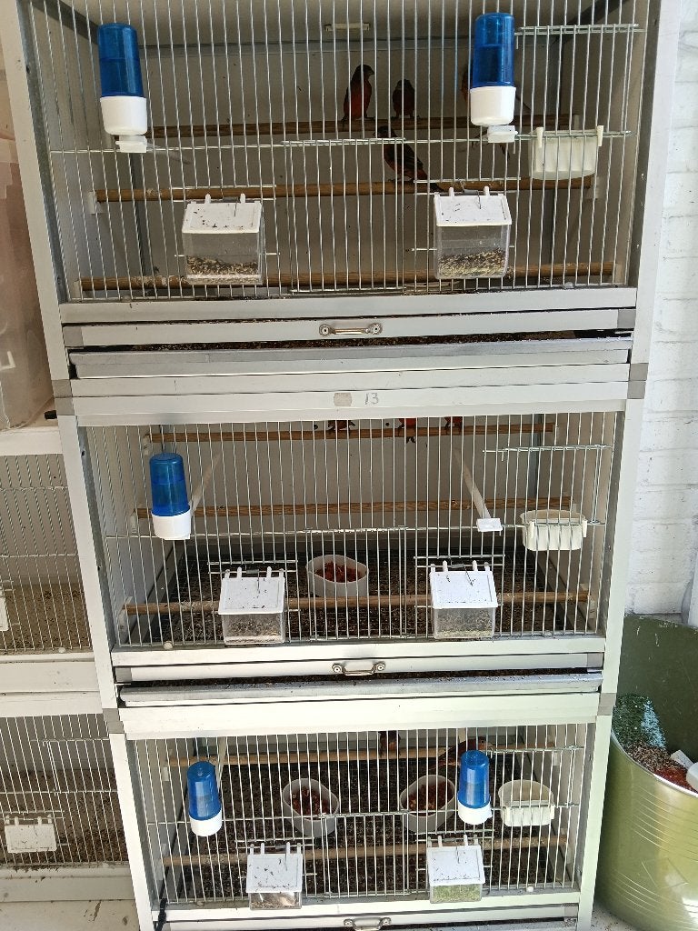 TKA 3 mooie aluminium en trespa broedkooien, Ophalen, Zo goed als nieuw, Aluminium, Vogelkooi