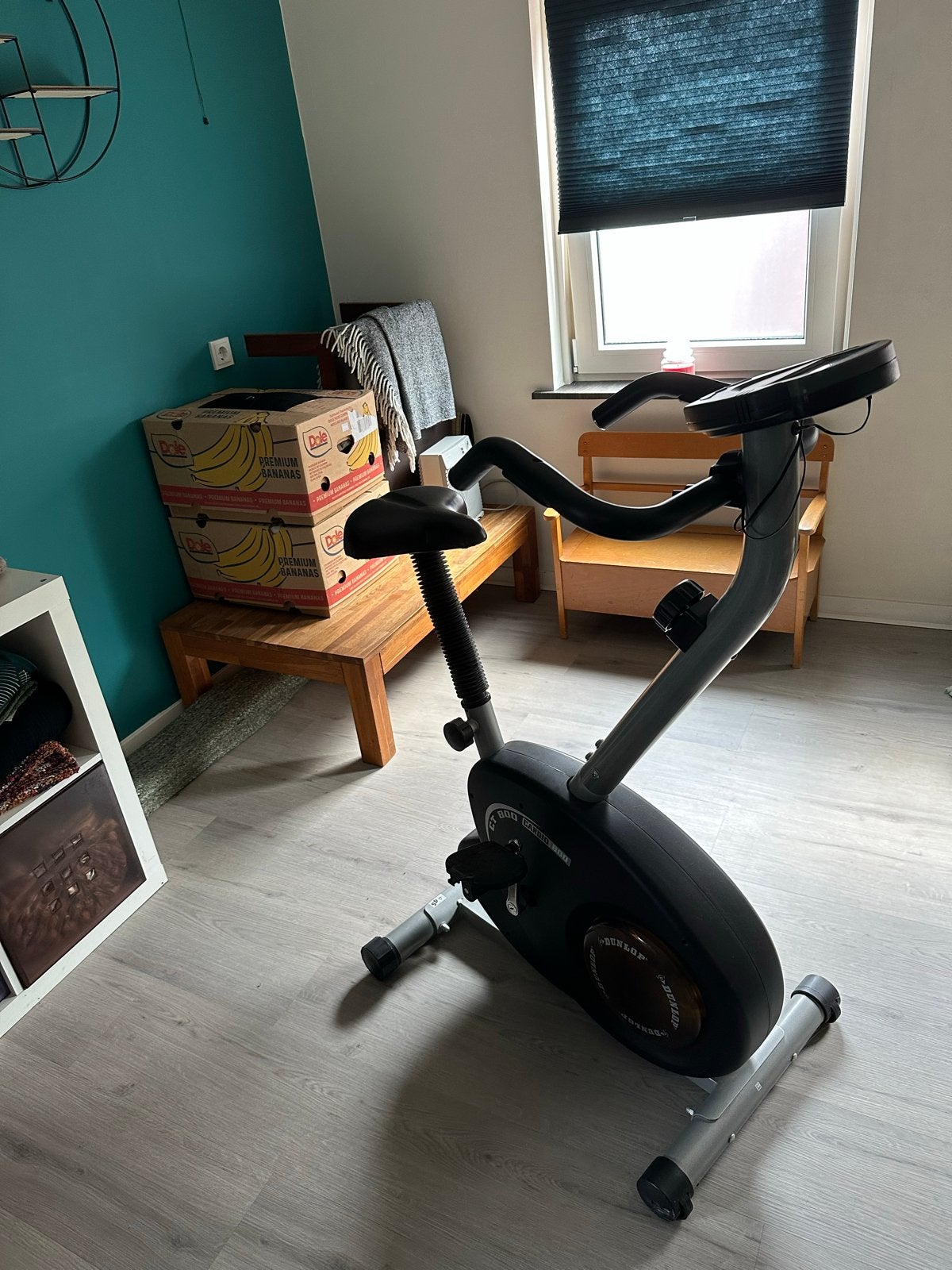 Dunlop Cardio 800 CT Hometrainer, Ophalen, Gebruikt, Metaal, Benen