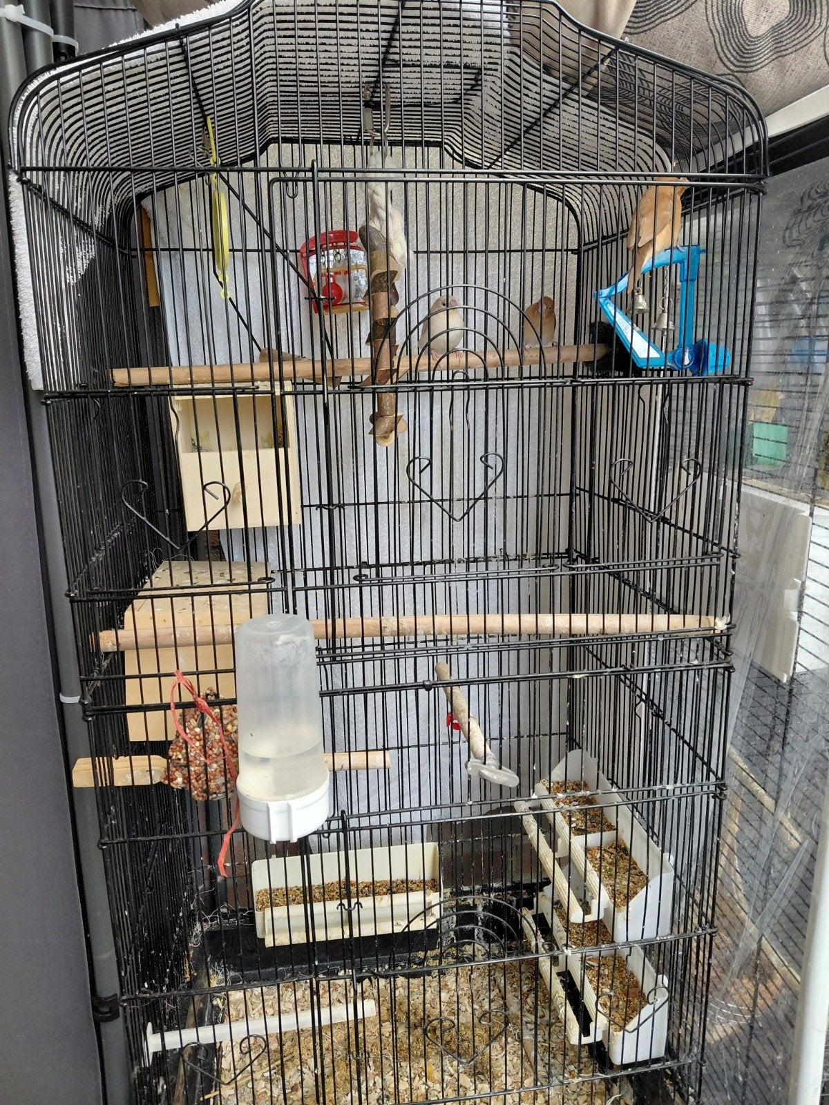 ,zilvermeeuwtjes, Ophalen of Verzenden, Zo goed als nieuw, Vogelkooi