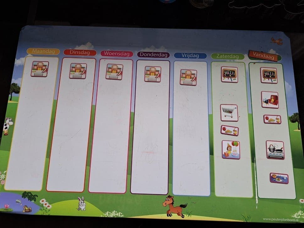 Magneetbord / Planbord voor kinderen met magneetjes, Ophalen, Gebruikt, Ontdekken