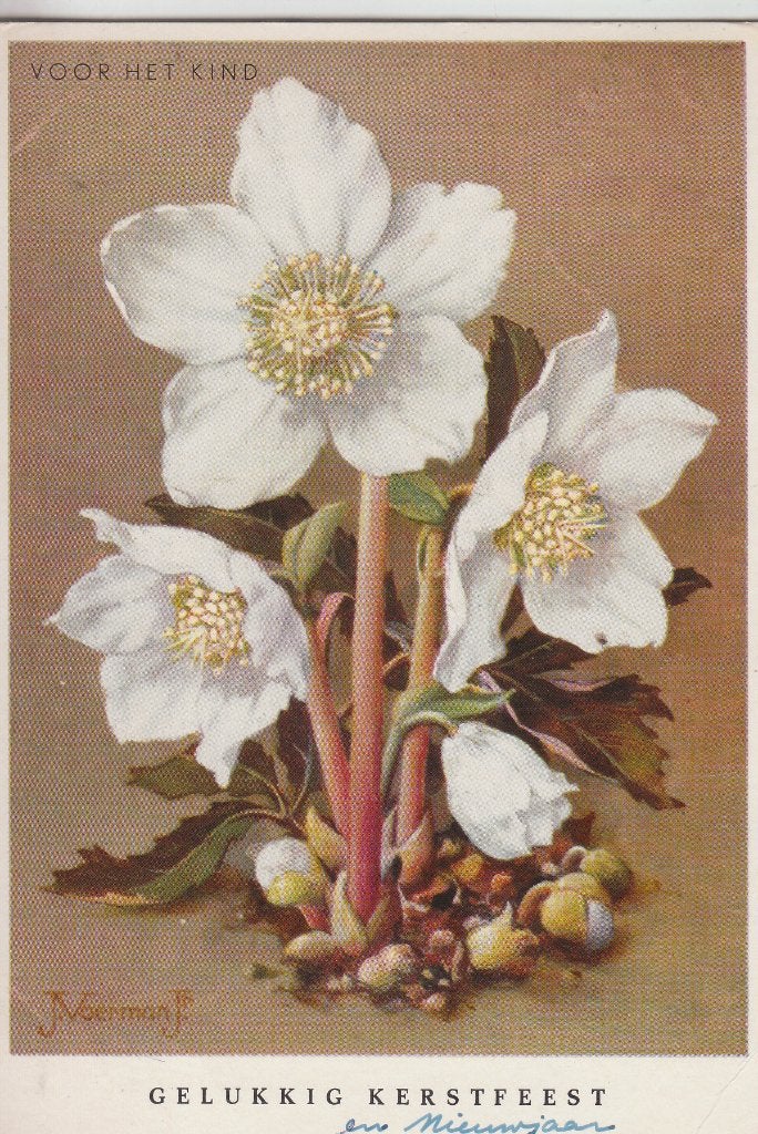 G276 ansichtkaart voor het kind 1965 bloemen voerman jr, Ophalen of Verzenden, 1960 tot 1980, Gelopen, Kinderen