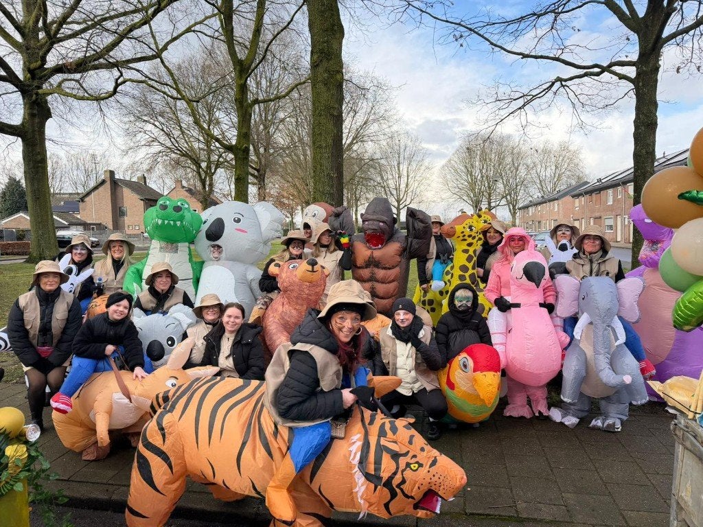 Carnavals  groep, Carnaval, Maat 46/48 (XL) of groter, Ophalen of Verzenden, Zo goed als nieuw