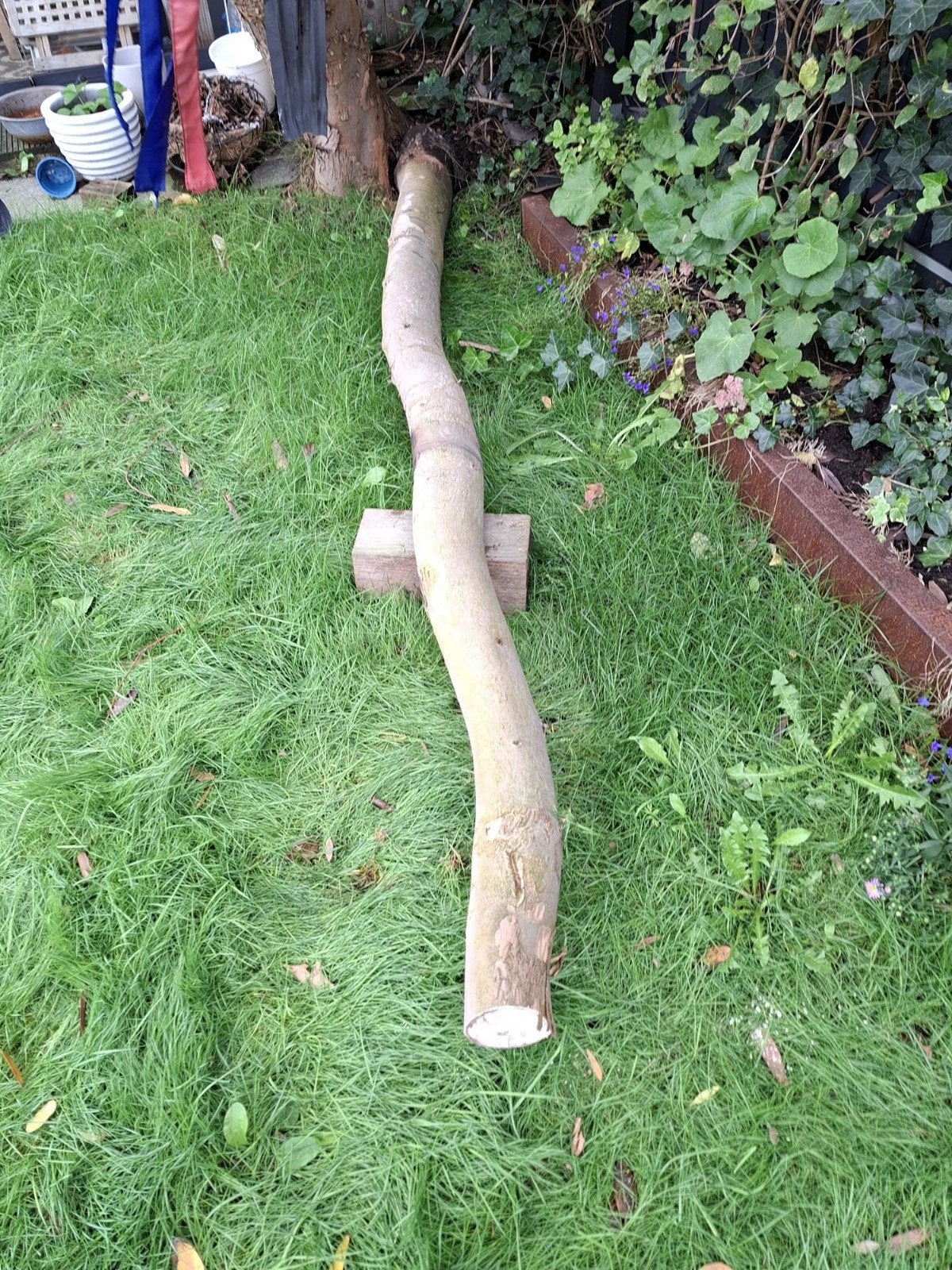 Eucalyptus stam brandhout - ca. 4,5 meter, Tuin en Terras, Minder dan 3 m³, Ophalen, Overige houtsoorten, Stammen