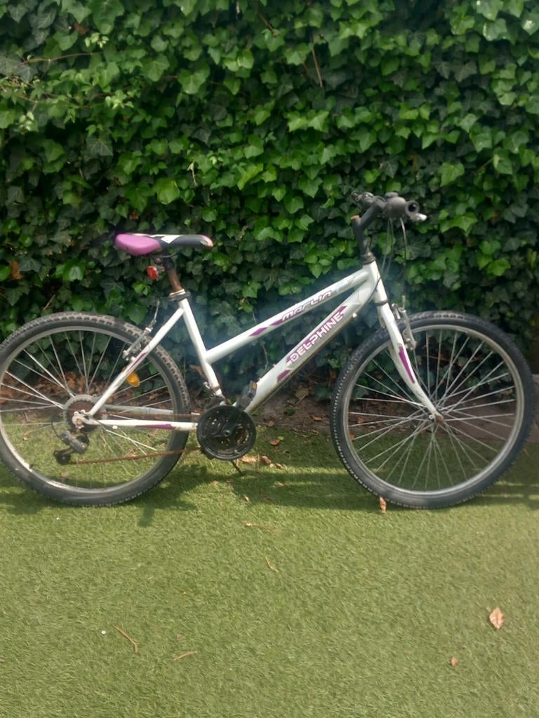 Mountainbike Dames, Ophalen of Verzenden, Gebruikt, Overige merken