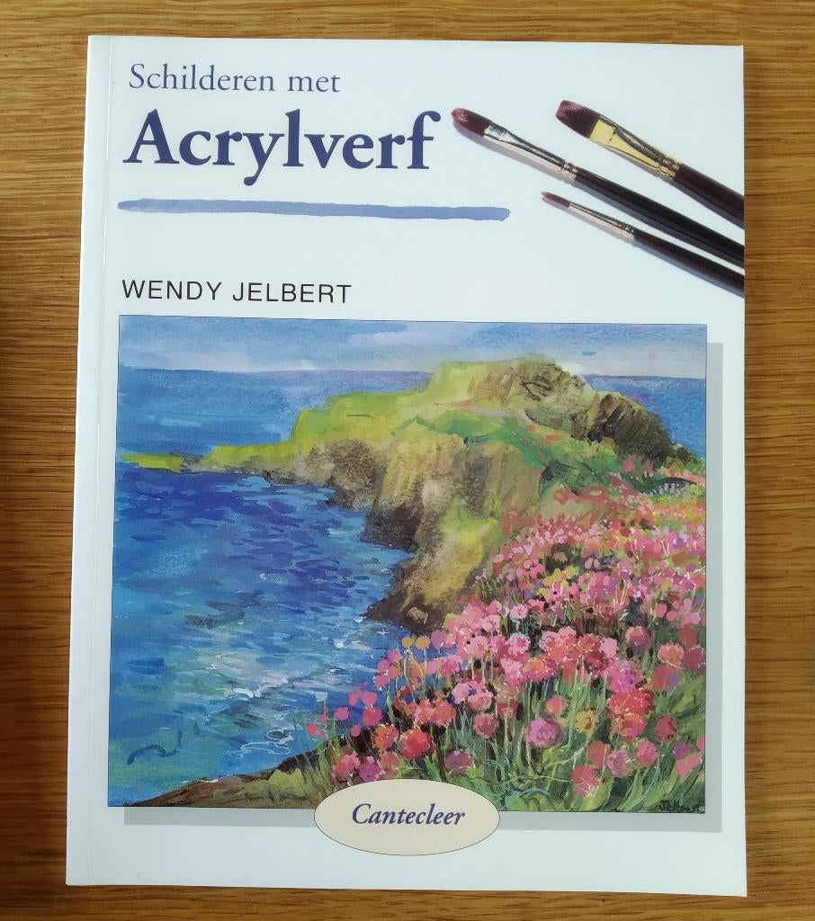 Wendy Jelbert - Schilderen met acrylverf, Ophalen of Verzenden, Acrylverf