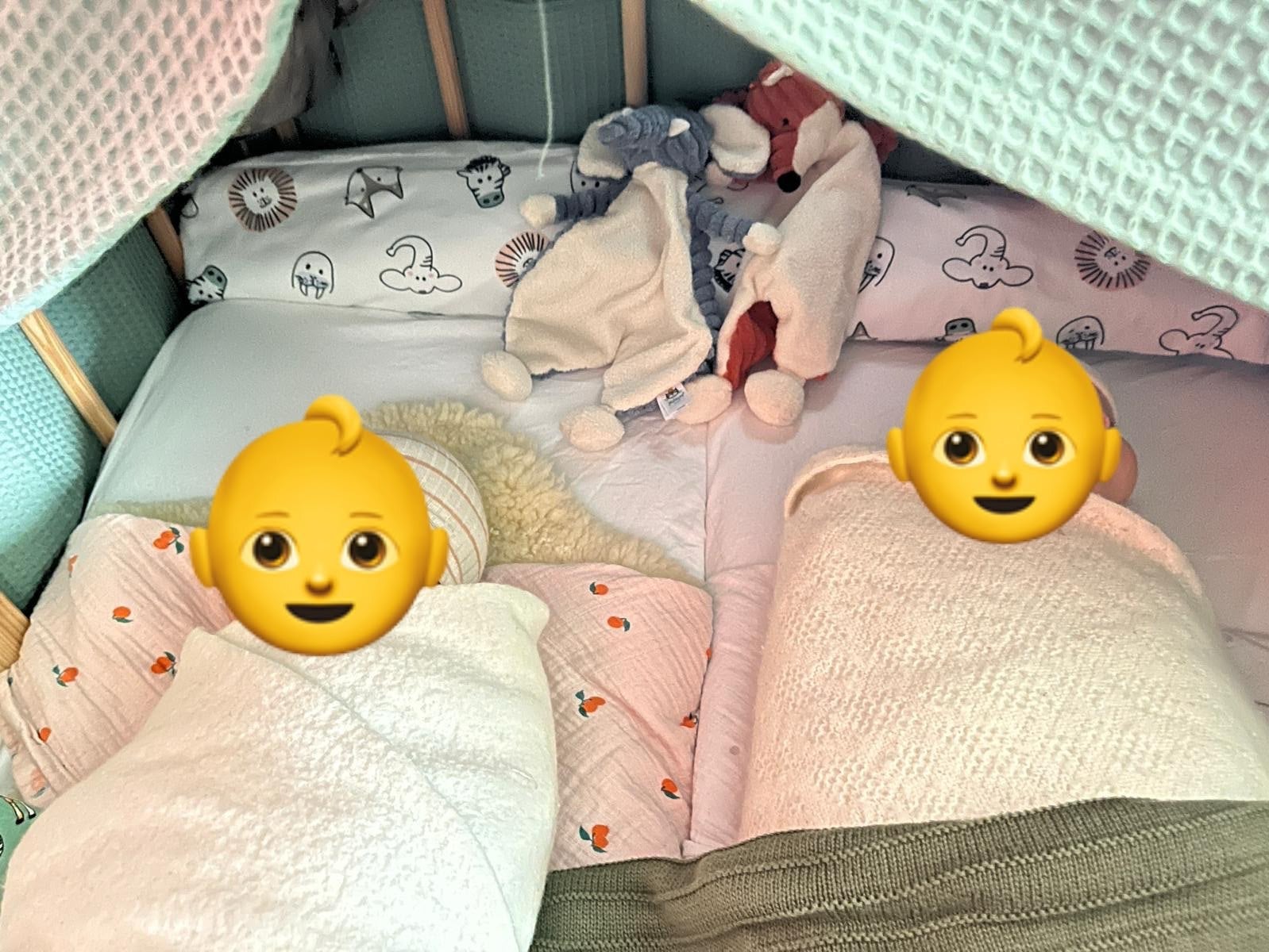 Houten tweeling co-sleeper/wieg/ledikant, Ophalen, Gebruikt, Wieg