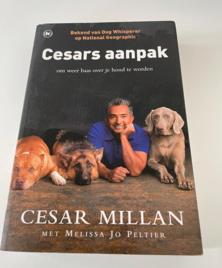 Cesar Millan - Cesars aanpak, Boeken, Dieren en Huisdieren, Ophalen of Verzenden, Gelezen, Honden