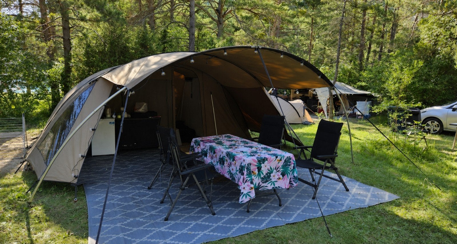 Falco Steenarend 5800 tent – nette staat, Ophalen