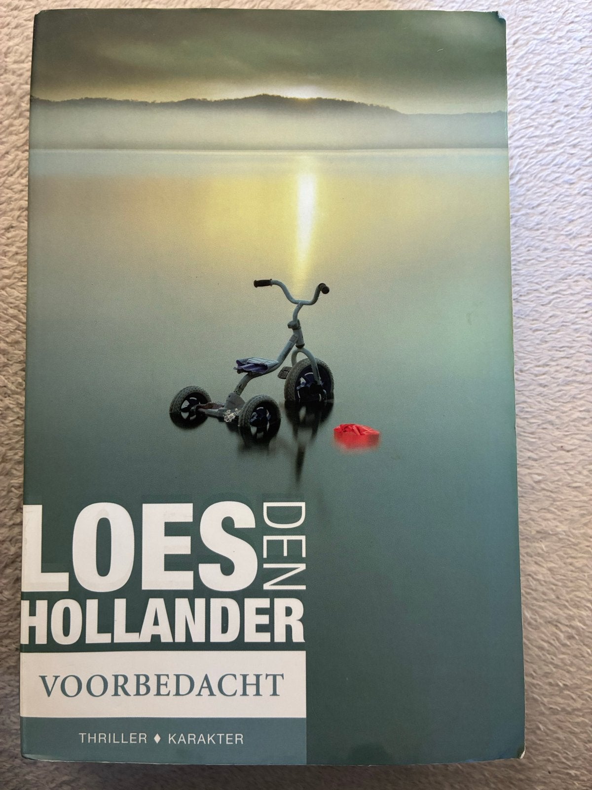 Loes den Hollander - Voorbedacht (Thriller), Ophalen of Verzenden, Zo goed als nieuw, Nederland