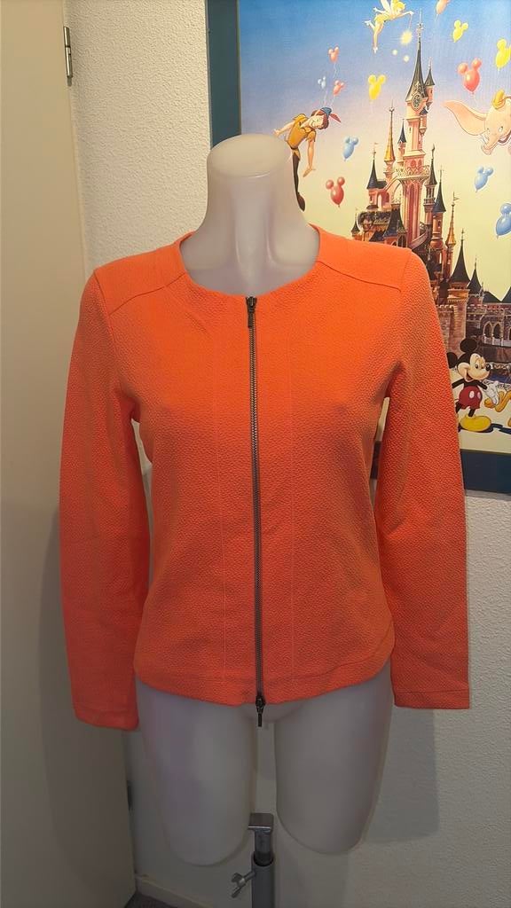 Nieuw oranje vestjasje maat 36 merk Kyra & Ko, Nieuw, Oranje, Ophalen of Verzenden, Jasje