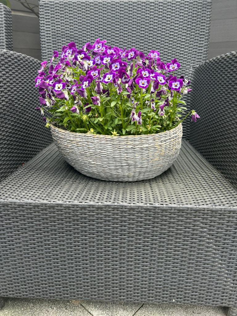 Grote mand sober landelijk mooi met plantjes exlusief !enz, Huis en Inrichting, Woonaccessoires | Schalen en Manden, Ophalen, Zo goed als nieuw