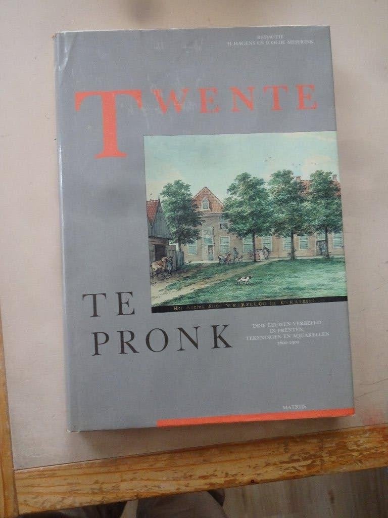 Twente, Ophalen of Verzenden, Gelezen, Hagens en Meierink
