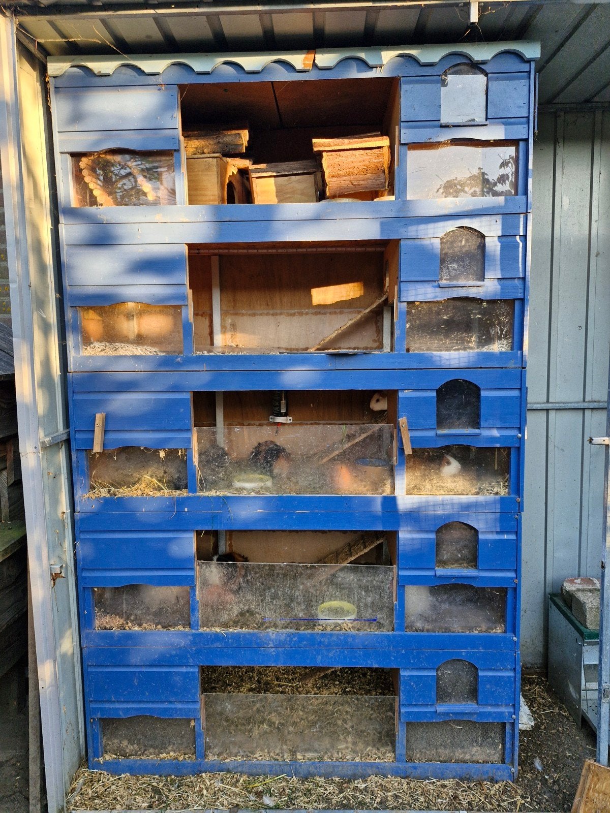 Cavia flat 5 verdiepingen, Dieren en Toebehoren, 110 cm of meer, Ophalen of Verzenden, 90 cm of meer, Hok