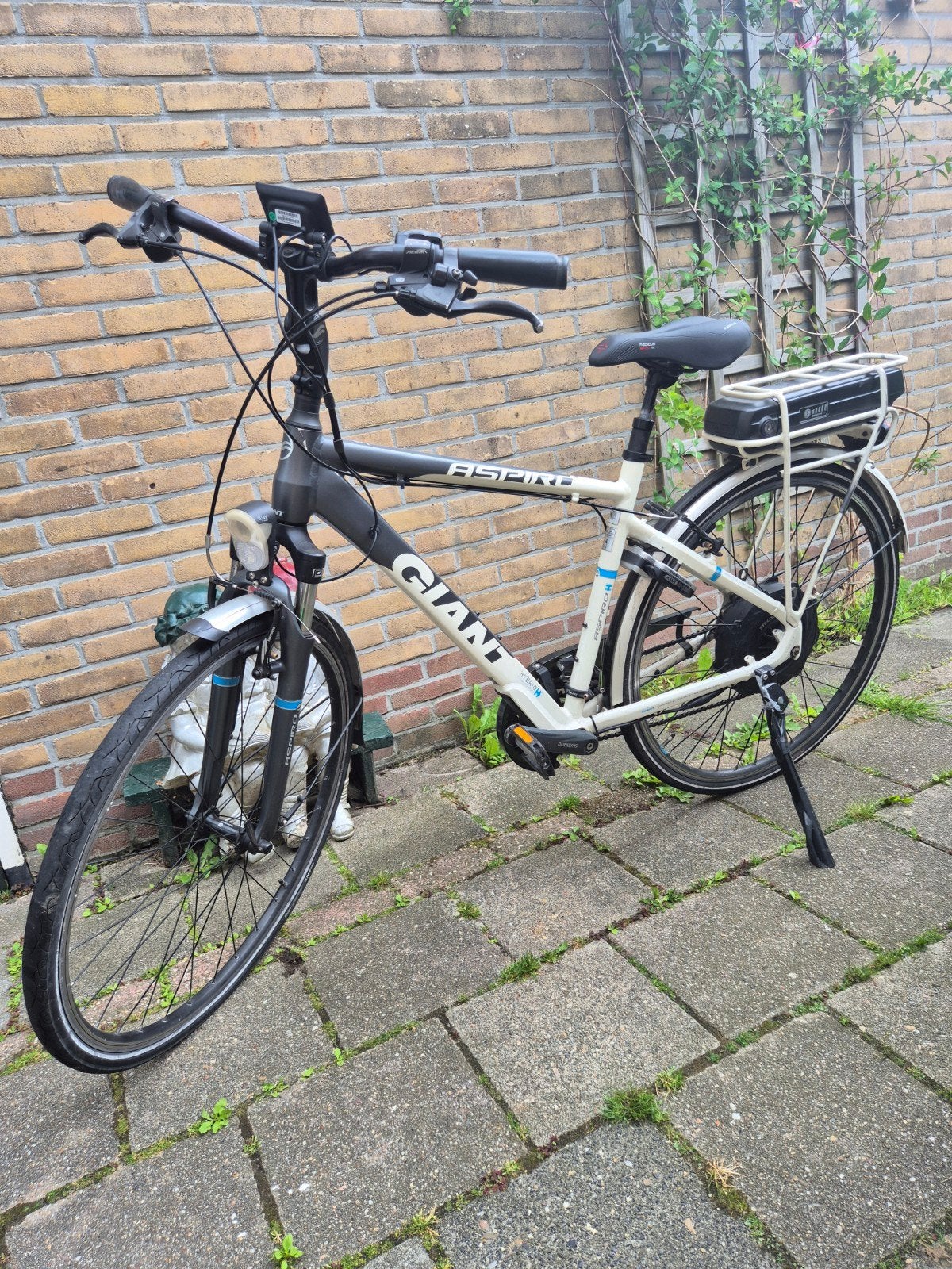 Giant Aspiro Hybrid elektrische fiets, Ophalen