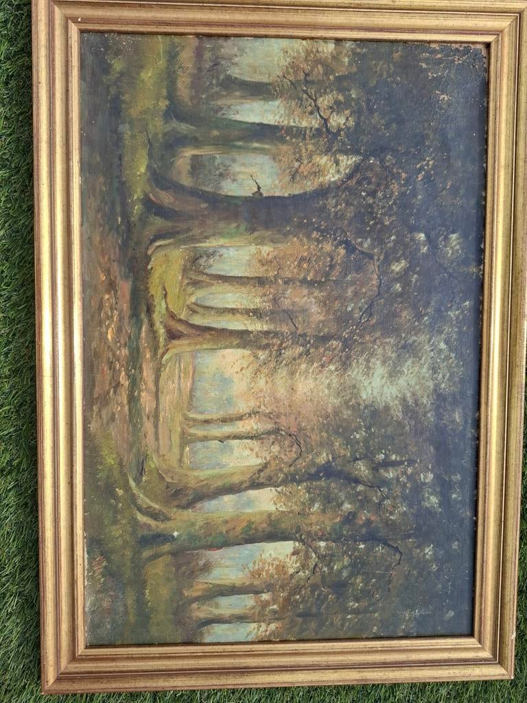 Schilderij bosgezicht met gouden lijst, Ophalen of Verzenden