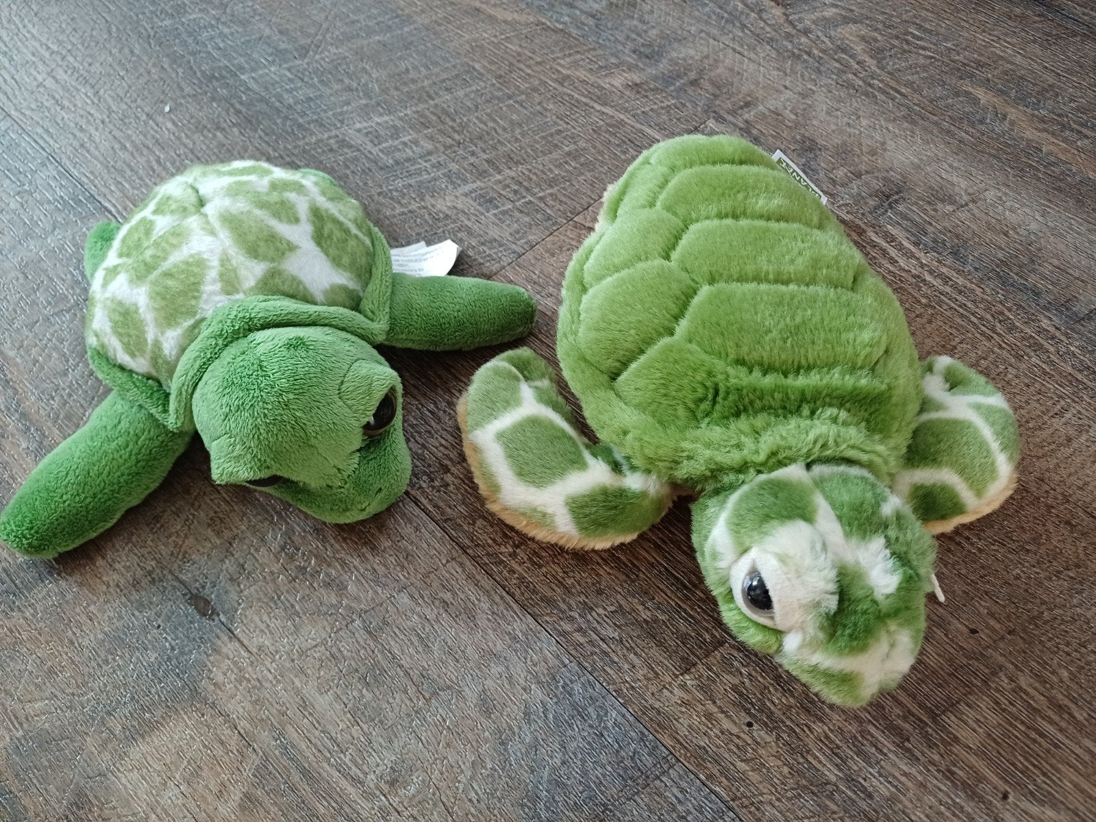 2x pluche Knuffel schildpad, Ophalen of Verzenden, Zo goed als nieuw, Overige typen