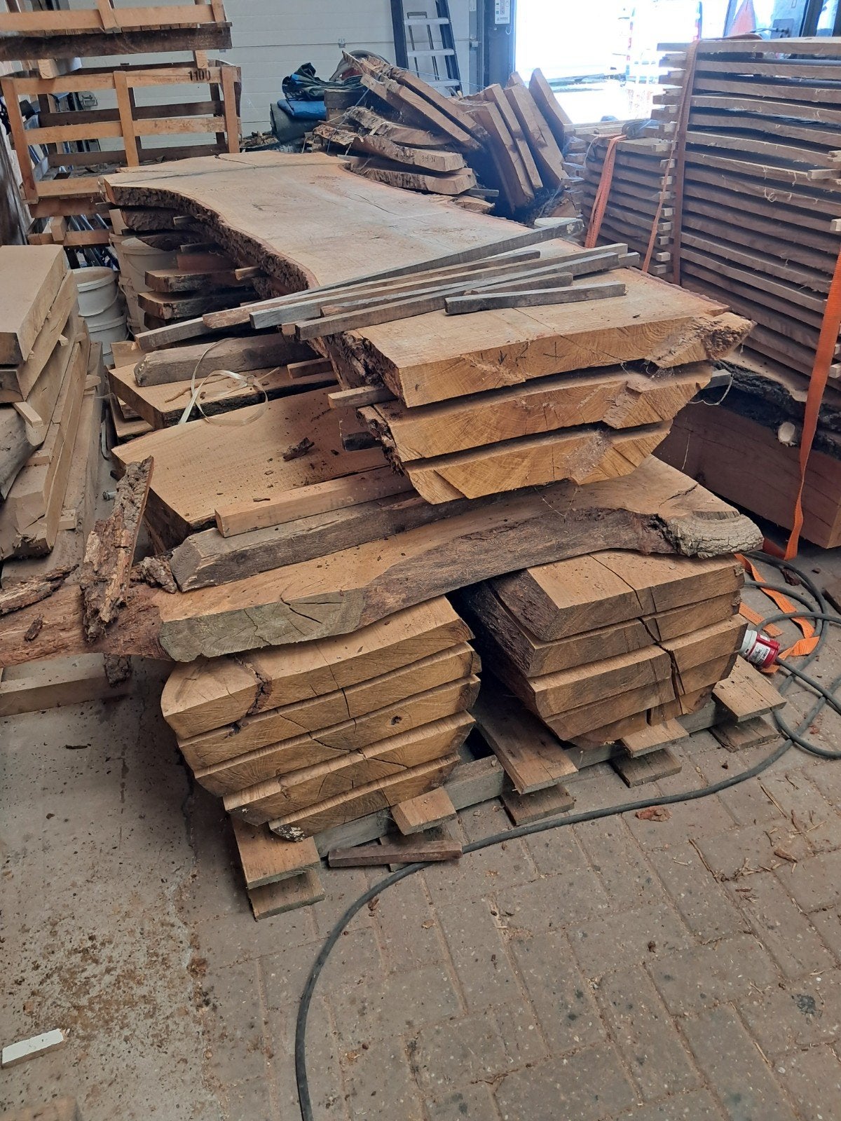 Schaaldelen, hele partij 50 stuks. Eik en Plataan, Ophalen, Eiken, Nieuw, 250 tot 300 cm