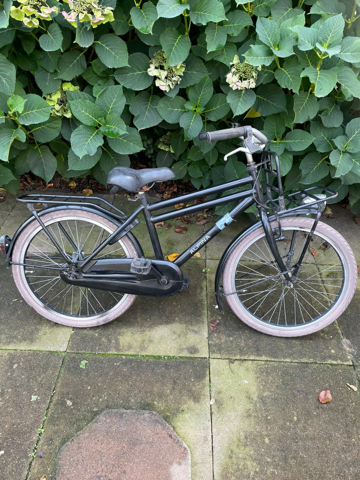 Alpina jongensfiets, Ophalen, Gebruikt, 22 inch, Handrem