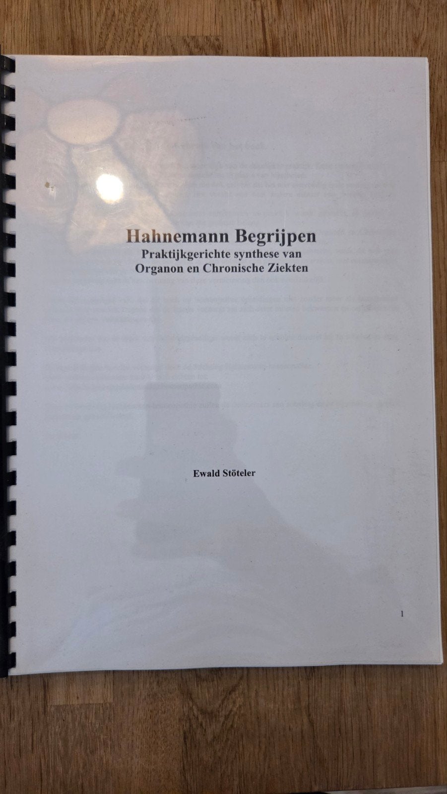 Hahnemann Begrijpen - Praktijkgerichte synthese, Boeken, Ophalen of Verzenden, Gelezen, Ziekte en Allergie, Ewald Stöteler