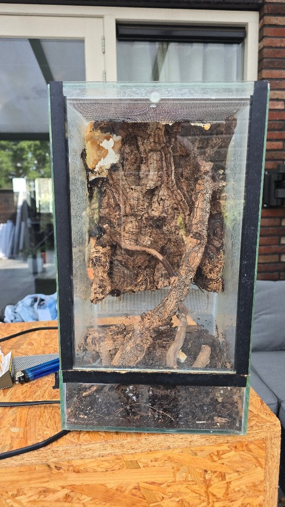 Terrarium gratis, Dieren en Toebehoren, Ophalen