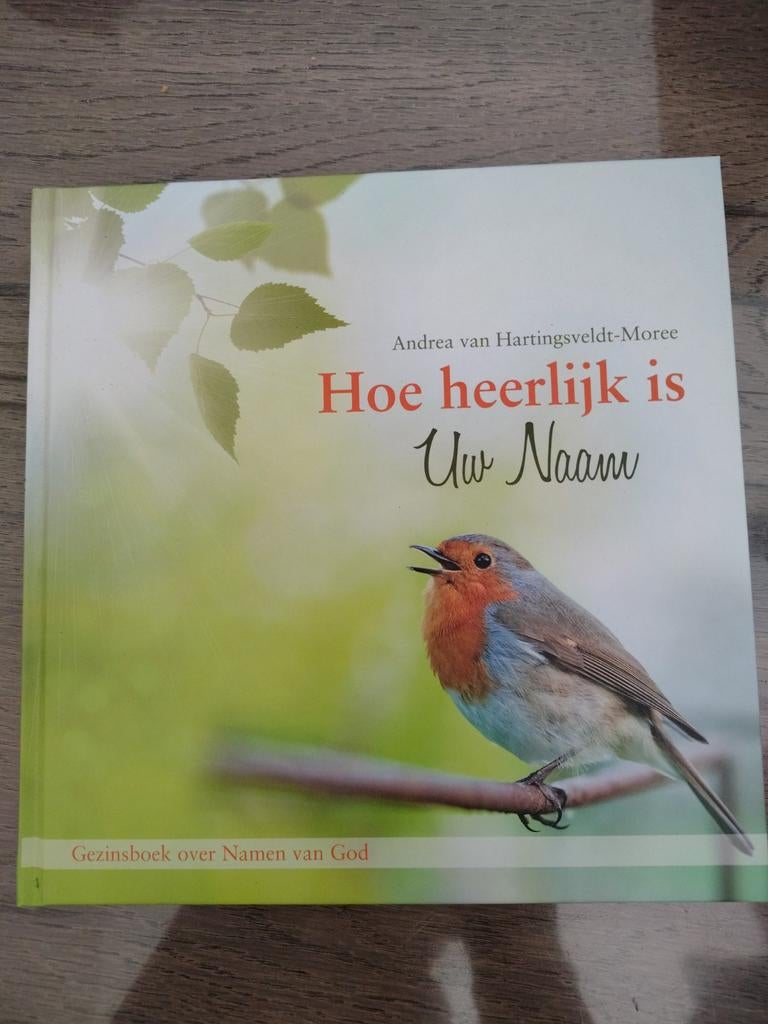 Nieuw! Hoe heerlijk is Uw Naam - Gezinsboek Namen van God, Boeken, Ophalen of Verzenden, Nieuw, Andrea van Hartingsveldt-Moree