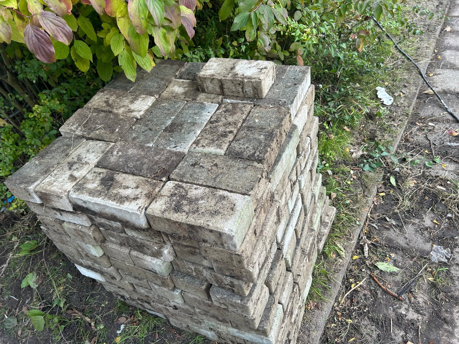 Ongeveer 1000 gebruikte tegels, Tuin en Terras, Ophalen, Gebruikt, 10 m² of meer, Beton