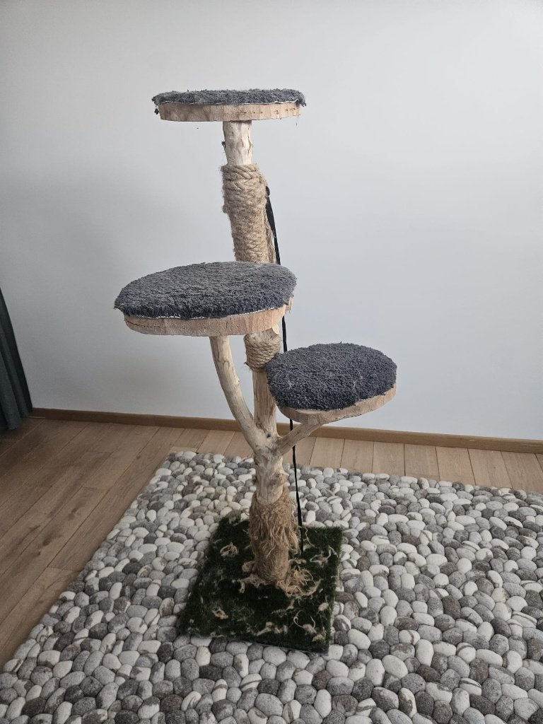 Kattenkrabpaal, Ophalen, Gebruikt, Krabpaal