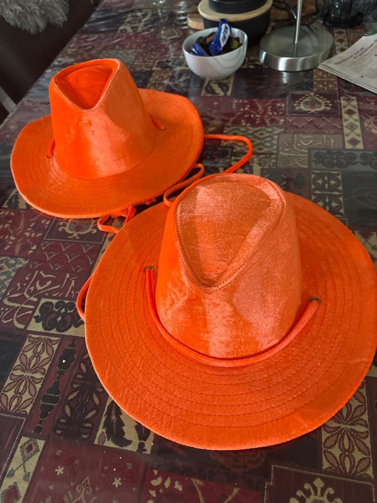 2 Nieuwe Oranje Hoeden - Perfect voor Feestjes!, Ophalen of Verzenden, Nieuw, One size fits all, Hoed