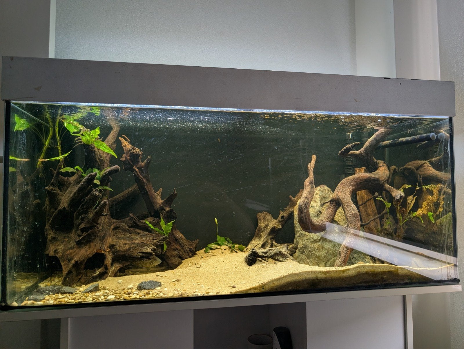 Juwel rio 180 aquarium met kast + externe filter, Dieren en Toebehoren, Vissen | Aquaria en Toebehoren, Ophalen of Verzenden, Leeg aquarium