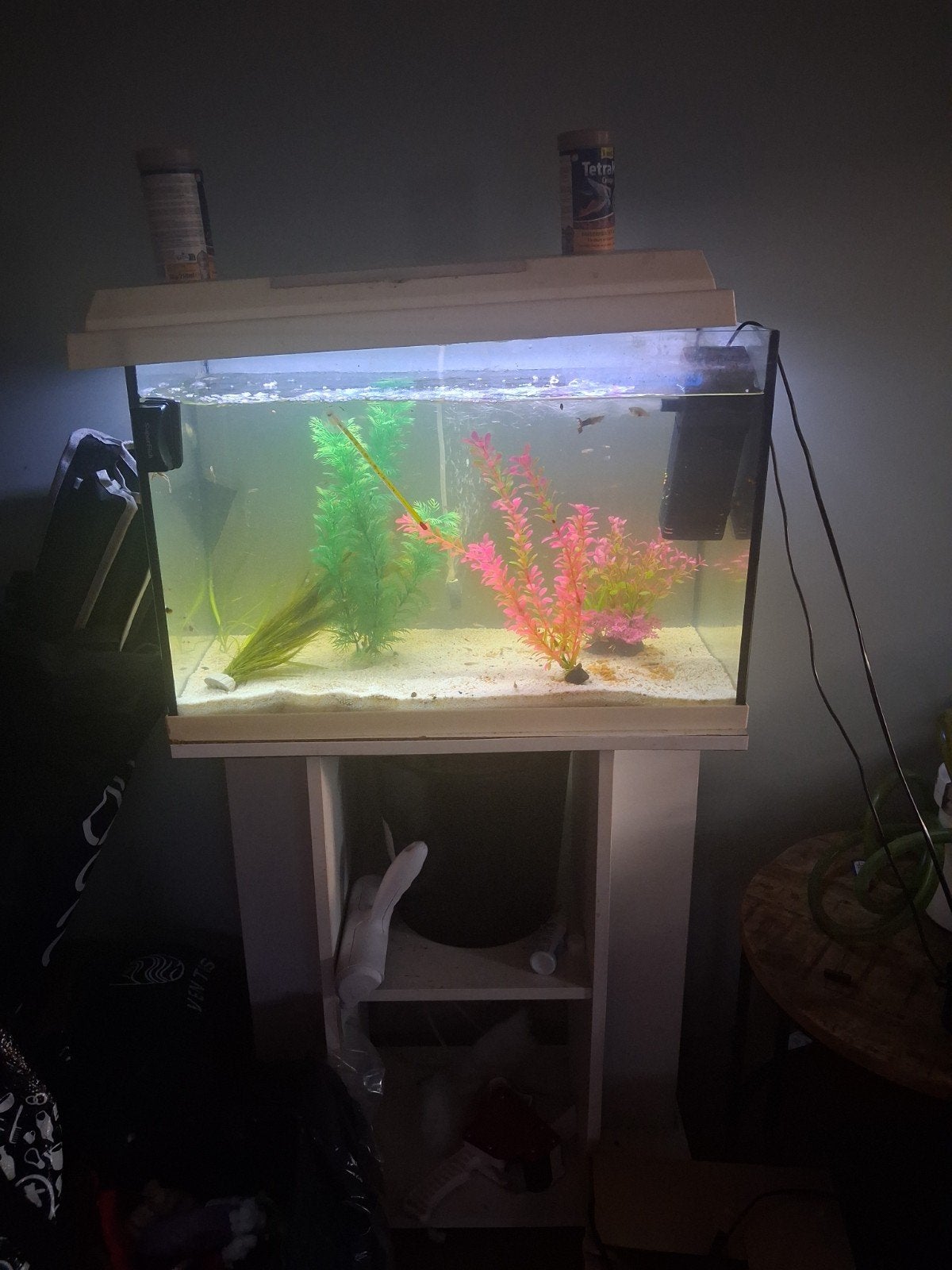 Guppies aquariun gratis, Ophalen of Verzenden, Gevuld zoetwateraquarium