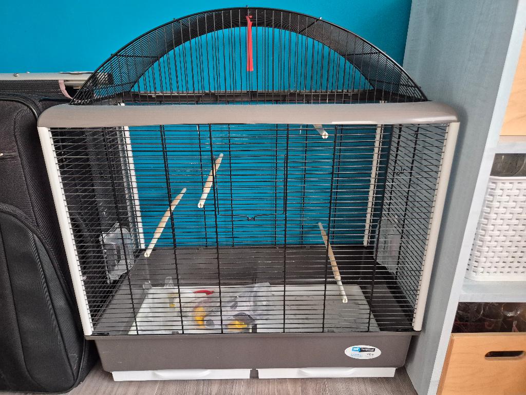 Vogelkooi parkiet, Ophalen, Zo goed als nieuw, Metaal, Vogelkooi
