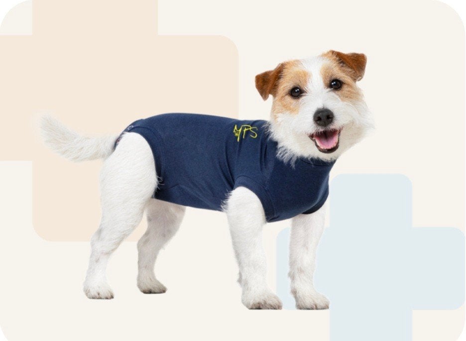 Mps bescherm shirt hond., Ophalen
