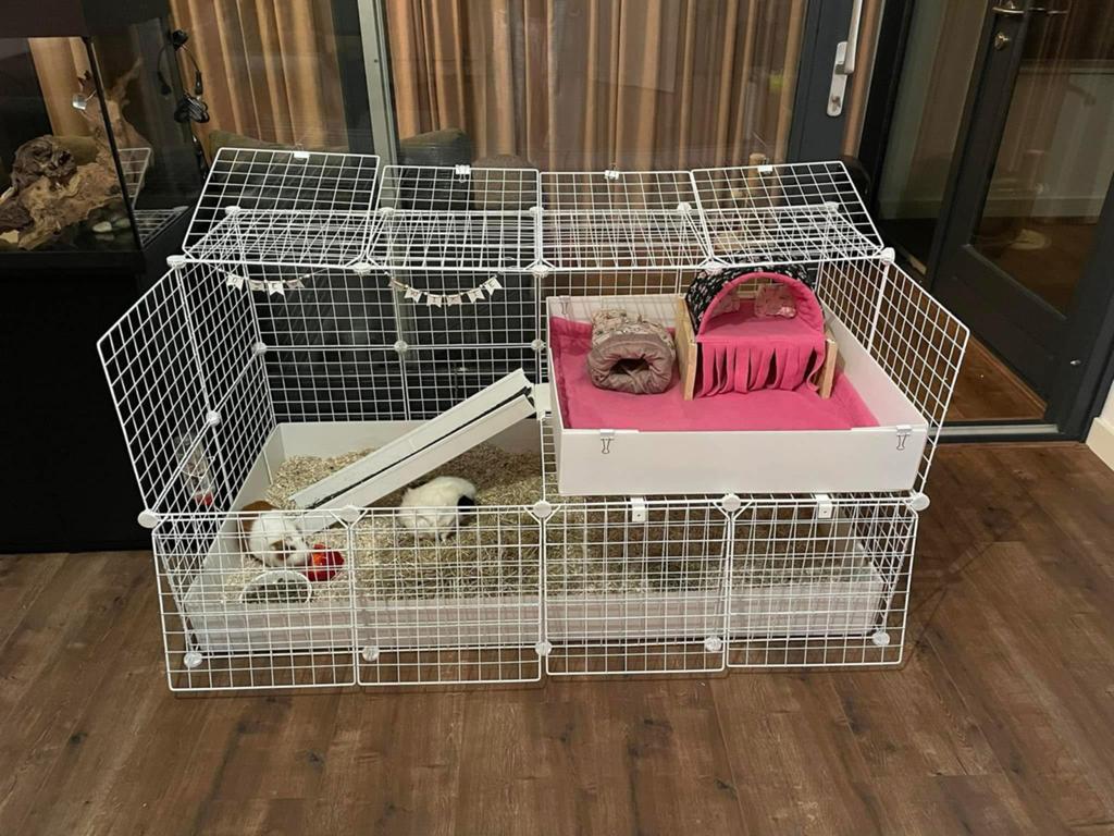 Cavia draadkubus hok, Dieren en Toebehoren, Hok, Cavia, Ophalen, Minder dan 60 cm