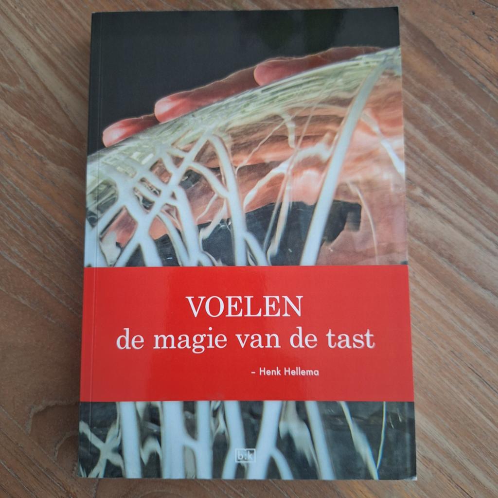 Henk Hellema - Voelen, Boeken, Ophalen of Verzenden, Zo goed als nieuw, Henk Hellema