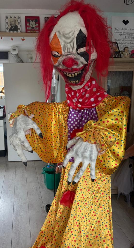 Halloween clown, Ophalen, Zo goed als nieuw, Halloween of Griezel