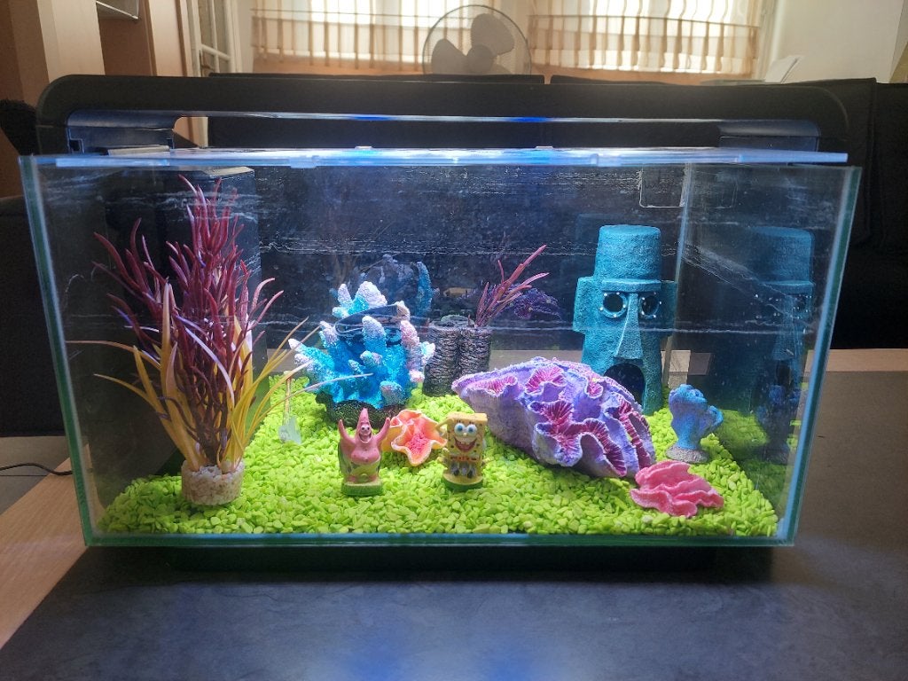 Glazen agariumset met letlamp te koop, Ophalen, Gebruikt, Leeg aquarium, Superfish