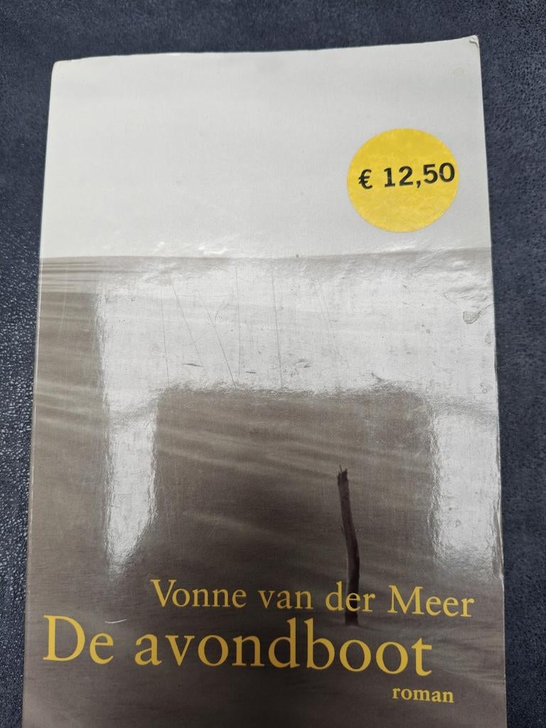 De avondboot - Vonne van der Meer (roman), Boeken, Romans, Gelezen, Ophalen of Verzenden