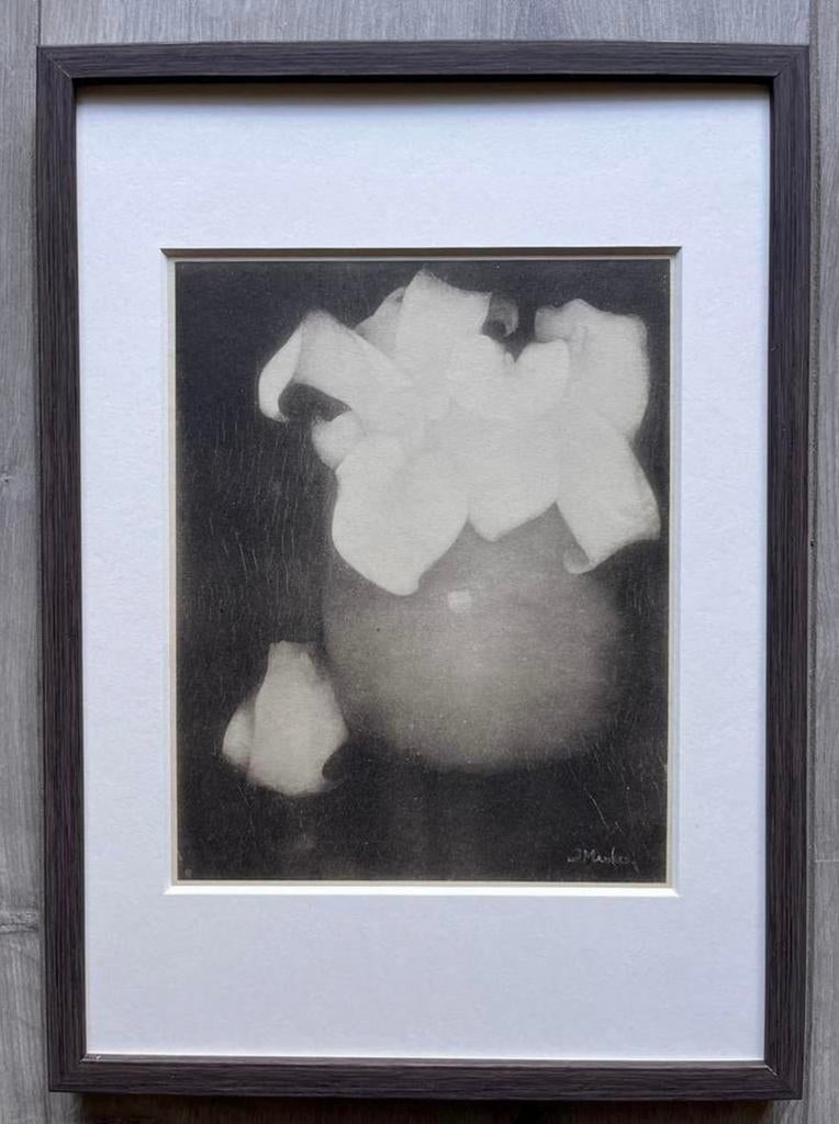 Jan Mankes 1889-1920 / Heliogravure Aronskelken 1923, Antiek en Kunst, Kunst | Etsen en Gravures, Ophalen