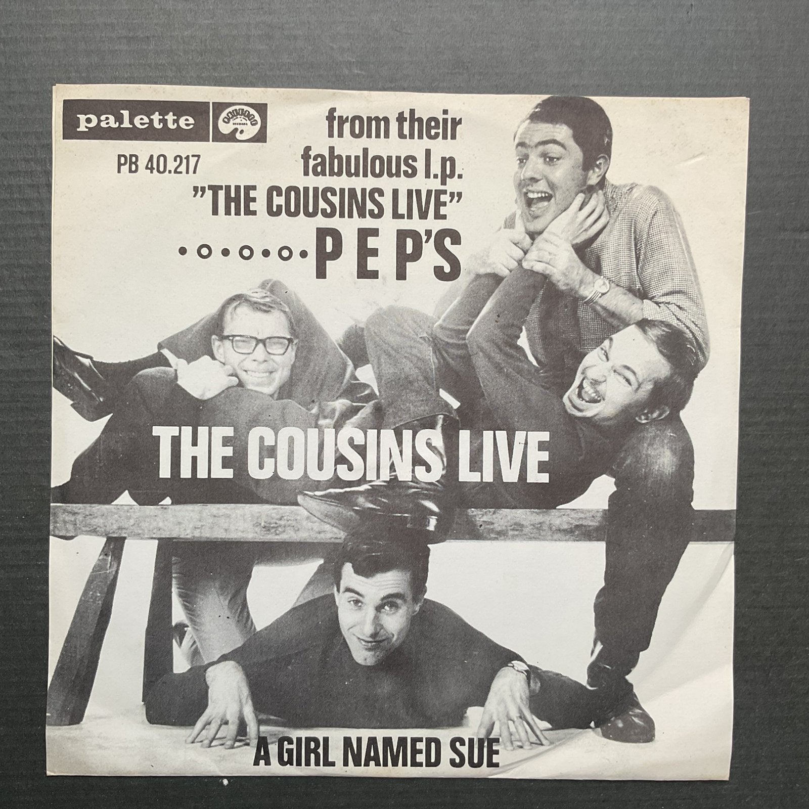 The cousins - pep’s, Ophalen of Verzenden, Zo goed als nieuw