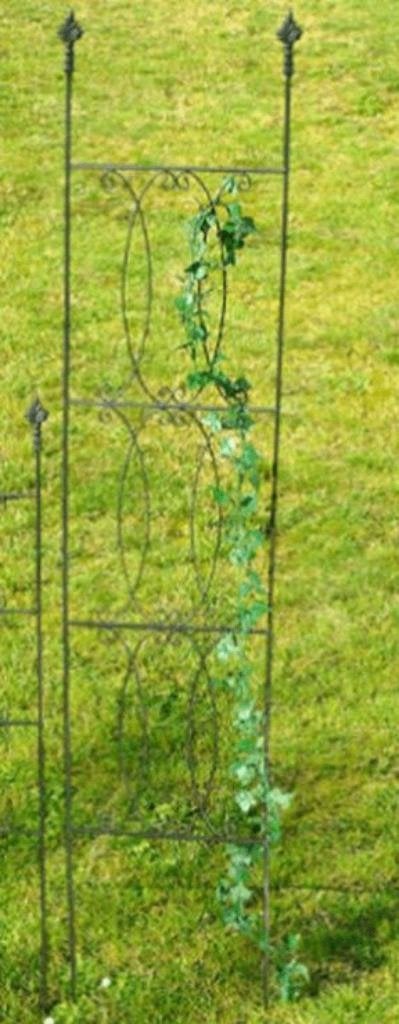 Mooi hoog Plantenrek, plantenklimrek, tuinhek, rek, zwart, Ophalen of Verzenden, Nieuw