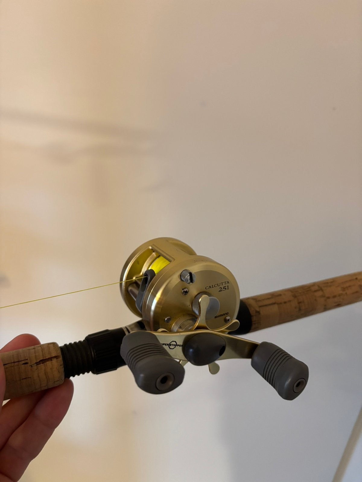 Shimano calcutta 251, Ophalen of Verzenden, Gebruikt, Molen