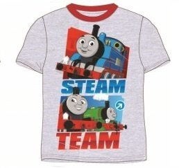 Thomas de Trein T-shirt Grijs - Maat 98 - 110 - 122 -128, Disney, Nieuw, Ophalen of Verzenden, Jongen
