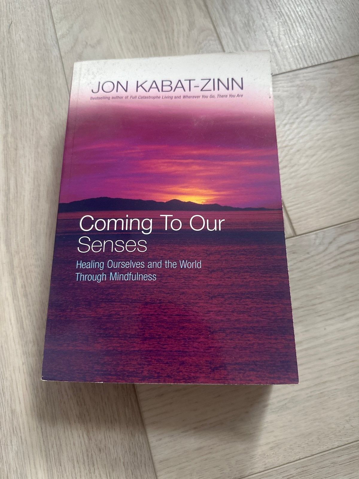 Coming To Our Senses - Jon Kabat-Zinn (Mindfulness), Ophalen of Verzenden, Gelezen, Meditatie of Yoga, Achtergrond en Informatie
