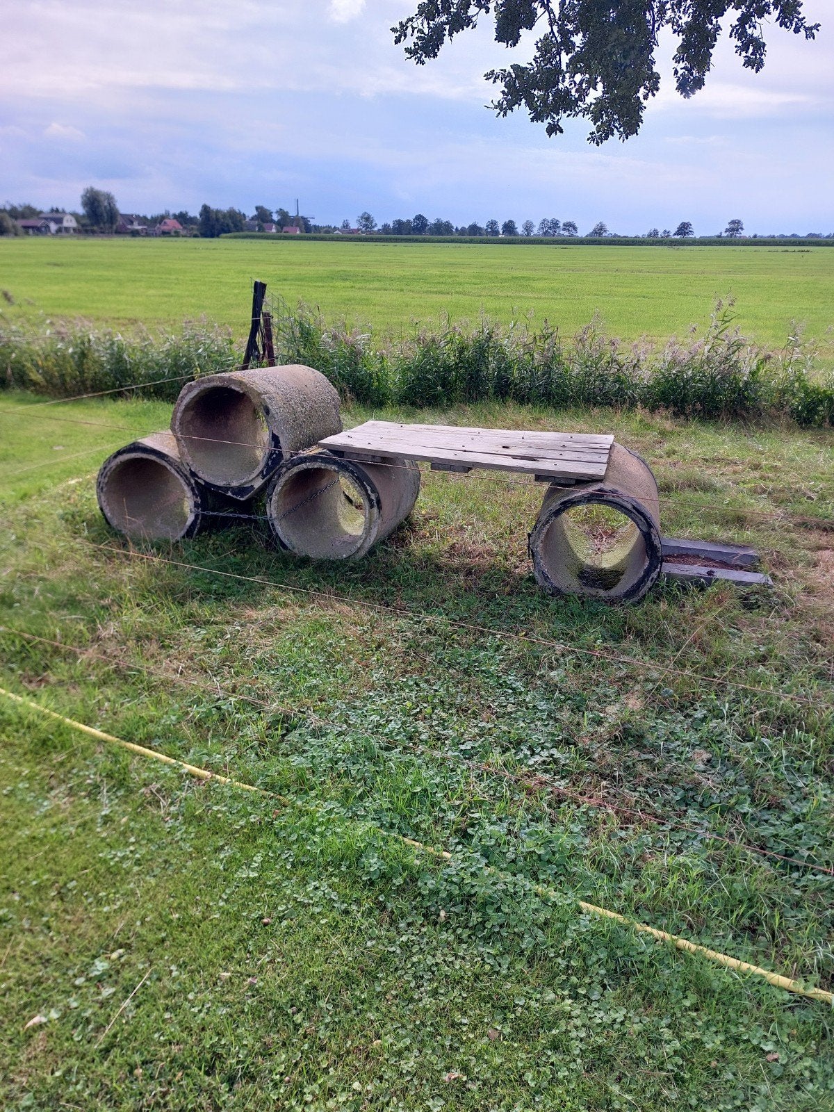 Speeltoestel voor een geit van betonnen buizen, Meerdere dieren, Geit