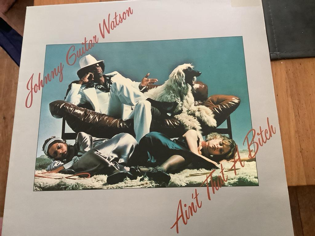 Johnny Guitar Watson - Ain't That A Bitch (LP), Ophalen of Verzenden, 1970 - 1979, Gebruikt, 12 inch