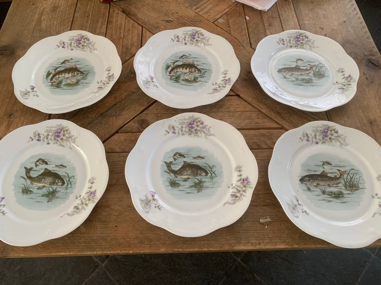Set van 6 porseleinen borden met vissen afbeelding, Antiek en Kunst, Ophalen of Verzenden