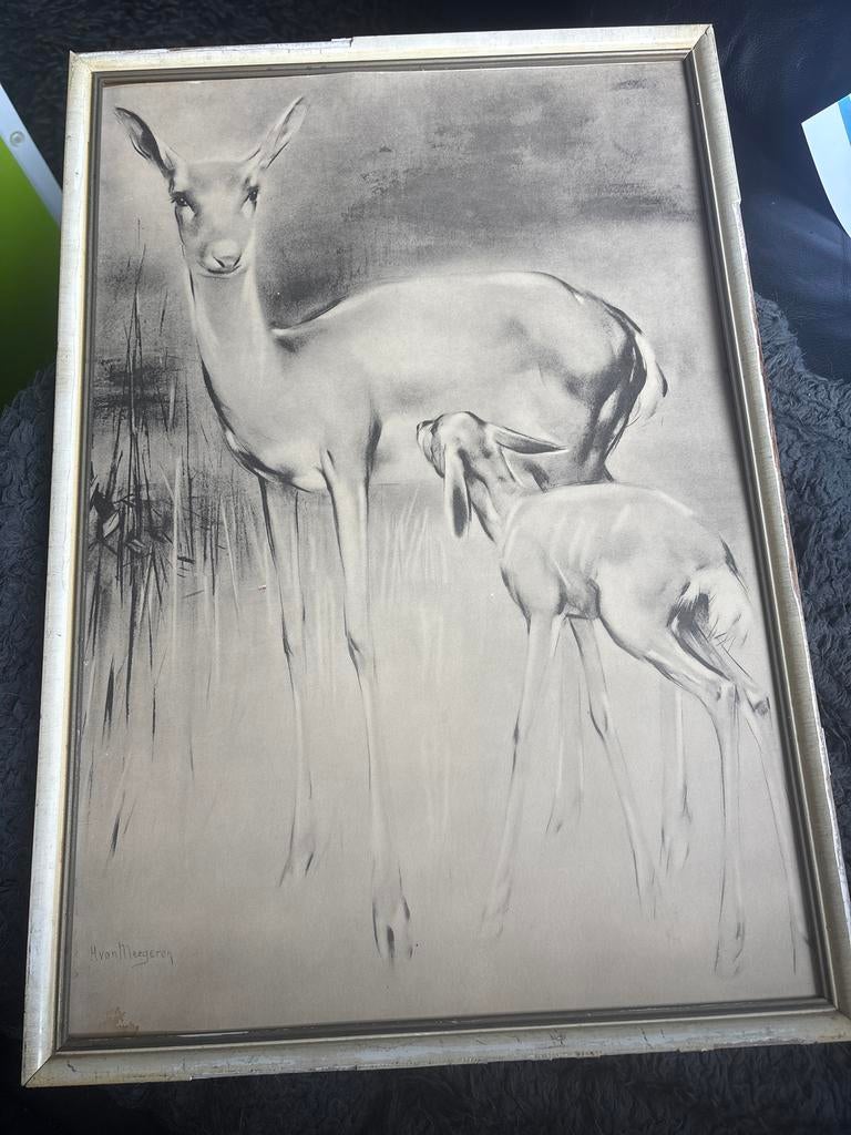 Ingelijste tekening van ree met kalf, gesigneerd, Antiek en Kunst, Kunst | Tekeningen en Foto's, Ophalen