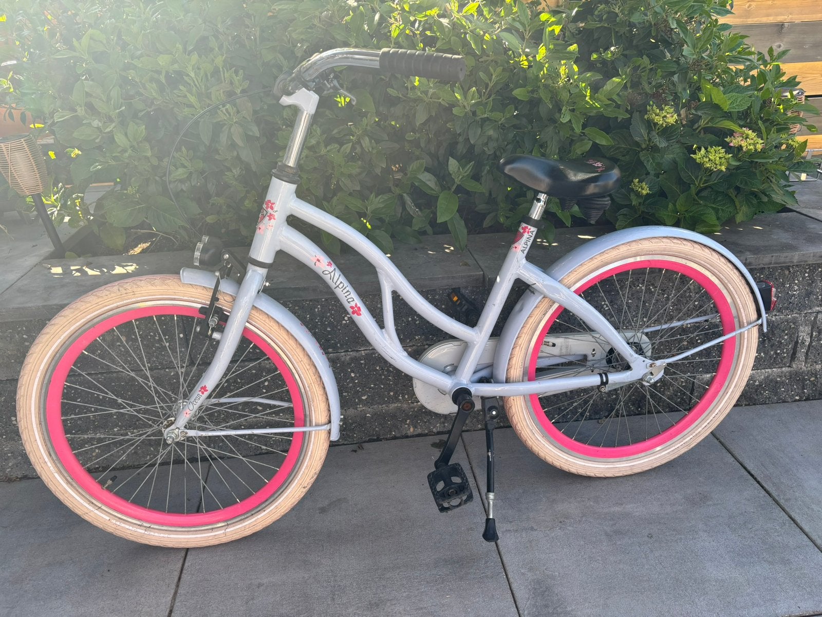 Alpina meisjes fiets 22 inch, Ophalen, Zo goed als nieuw, 22 inch