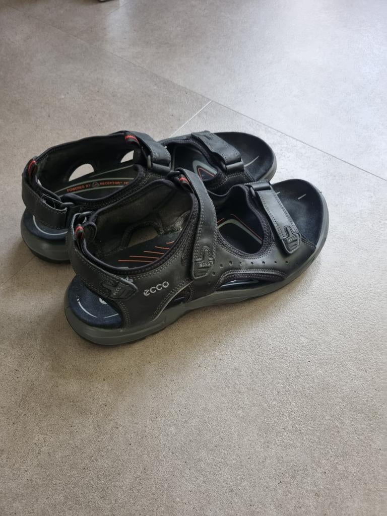 Heren sandalen Ecco maat 48, Ophalen of Verzenden