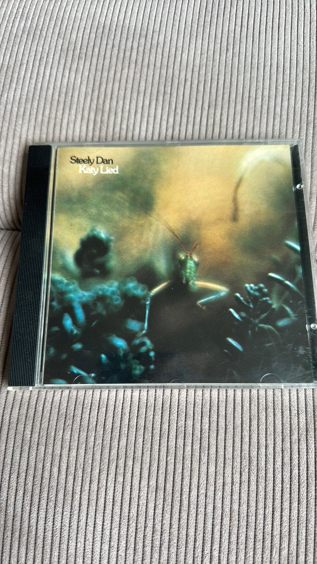 Steely Dan Katy Lied, Ophalen of Verzenden, Zo goed als nieuw
